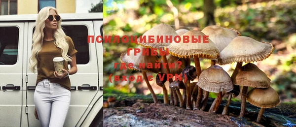 спайс Алзамай