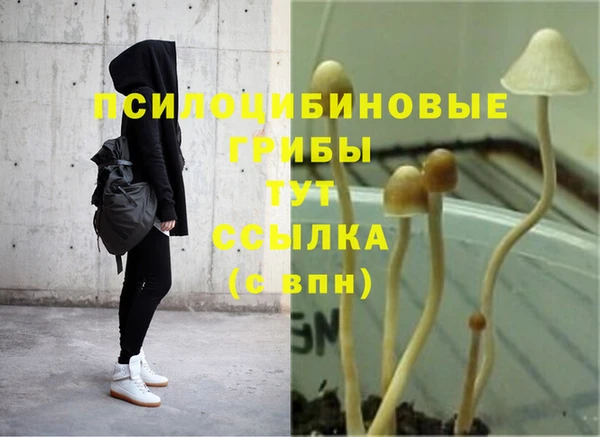 трава Алексеевка